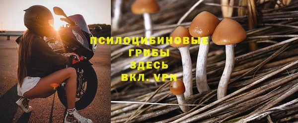 герыч Зеленокумск
