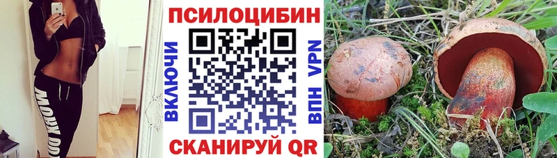 Псилоцибиновые грибы Psilocybe  Купить где  Никольское 
